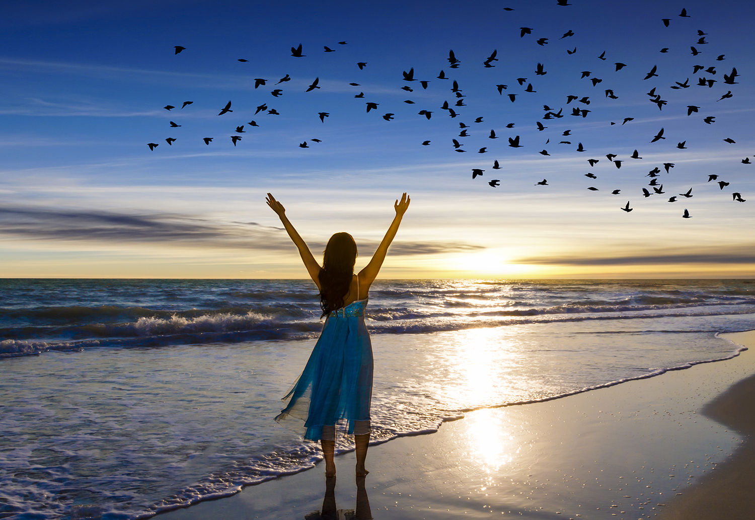 Freedom